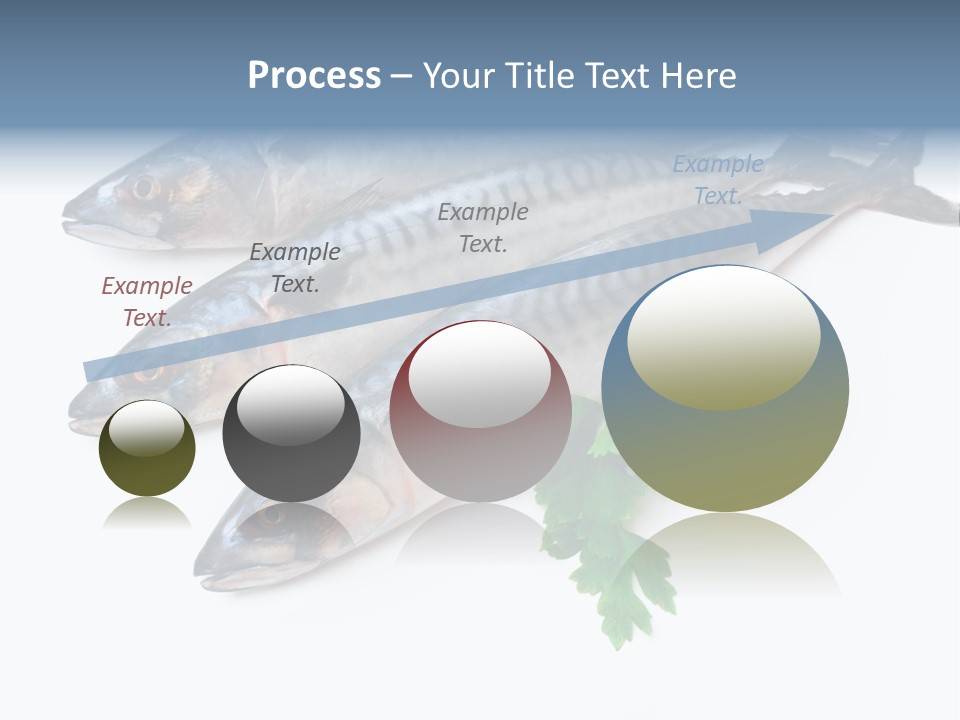 Scale Market Angling PowerPoint Template