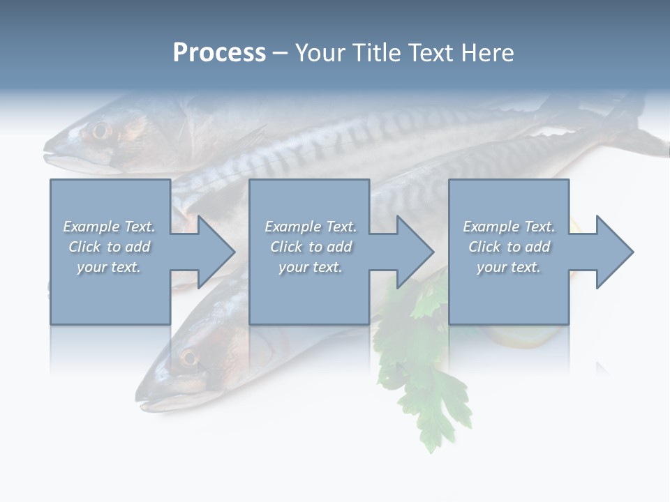 Scale Market Angling PowerPoint Template