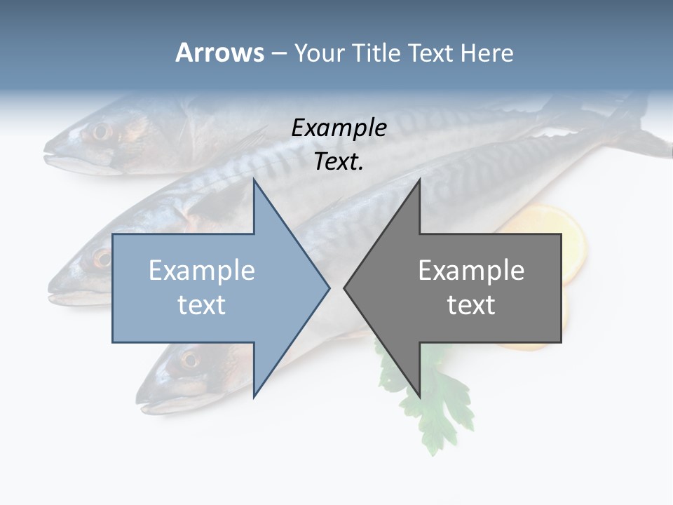 Scale Market Angling PowerPoint Template