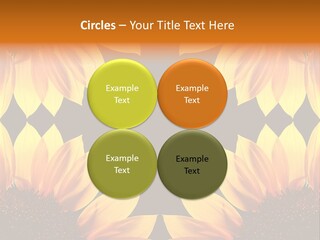 Leisure Pastel Bouquet PowerPoint Template