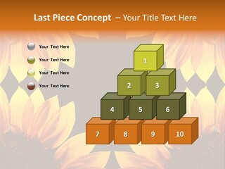 Leisure Pastel Bouquet PowerPoint Template