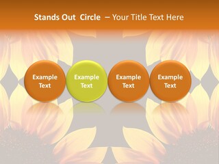 Leisure Pastel Bouquet PowerPoint Template