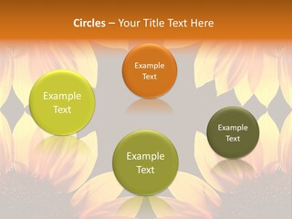 Leisure Pastel Bouquet PowerPoint Template