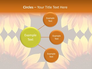 Leisure Pastel Bouquet PowerPoint Template