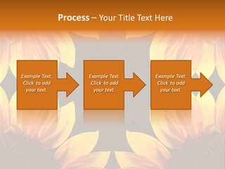 Leisure Pastel Bouquet PowerPoint Template