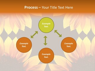 Leisure Pastel Bouquet PowerPoint Template