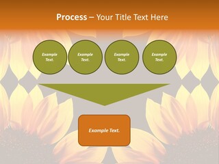 Leisure Pastel Bouquet PowerPoint Template