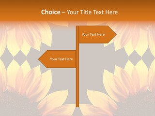 Leisure Pastel Bouquet PowerPoint Template