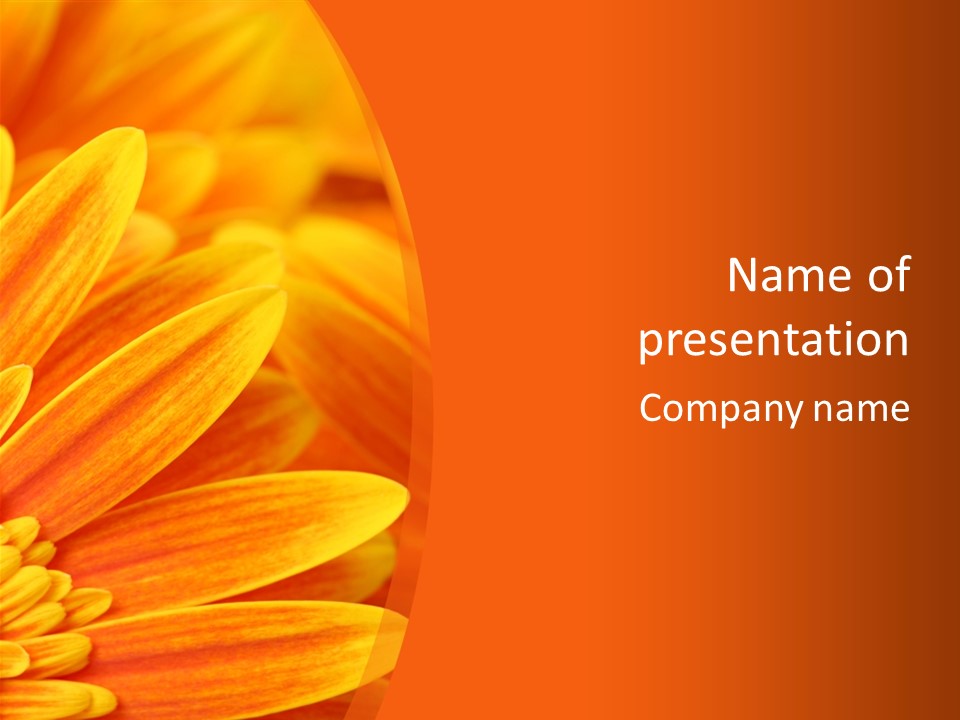 Daisy Spring Abstract PowerPoint Template