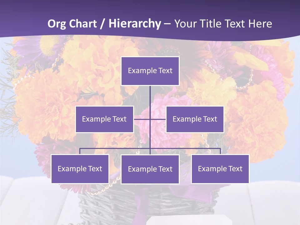 Daisy Wildflowers Summer PowerPoint Template