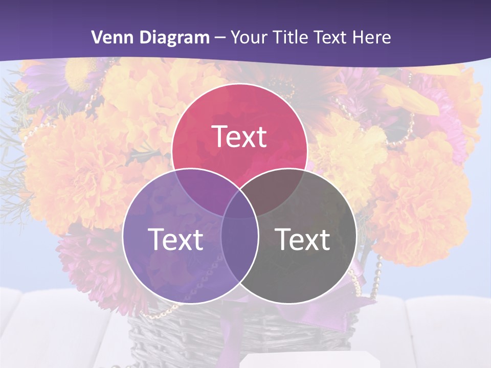 Daisy Wildflowers Summer PowerPoint Template