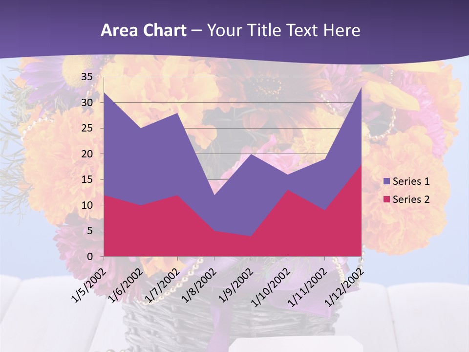 Daisy Wildflowers Summer PowerPoint Template