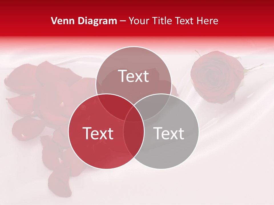 Petal Fabric Drop PowerPoint Template