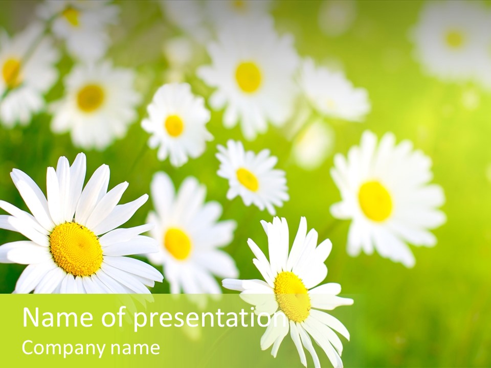 Plant Outdoor Lawn PowerPoint Template