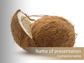 Coconut Palm Nut PowerPoint Template