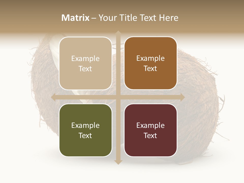 Coconut Palm Nut PowerPoint Template