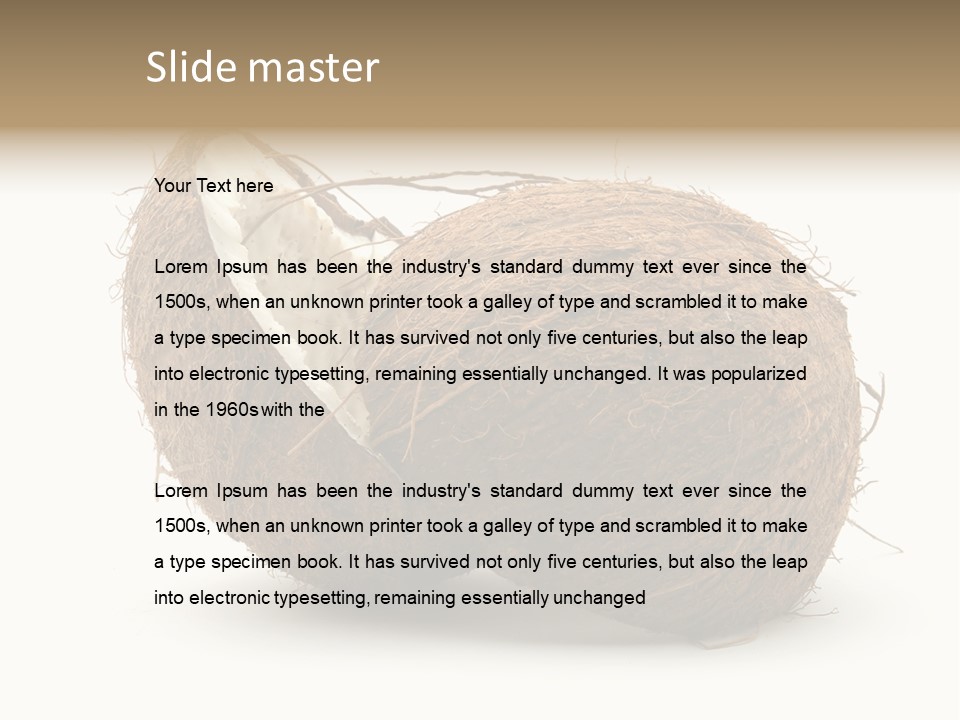 Coconut Palm Nut PowerPoint Template