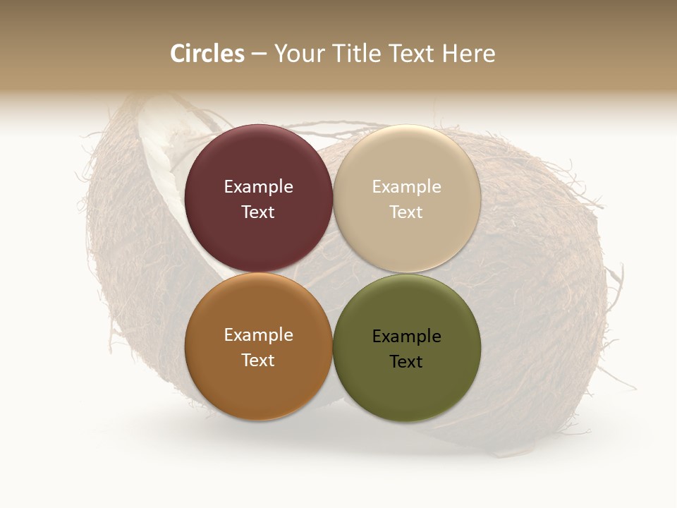 Coconut Palm Nut PowerPoint Template