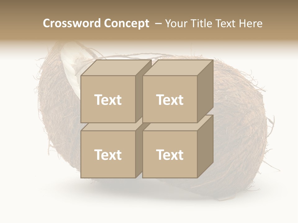 Coconut Palm Nut PowerPoint Template