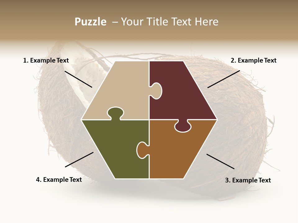 Coconut Palm Nut PowerPoint Template