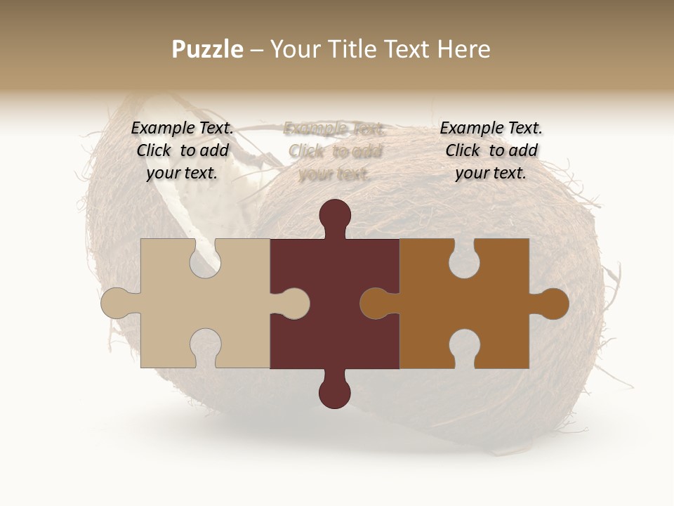 Coconut Palm Nut PowerPoint Template