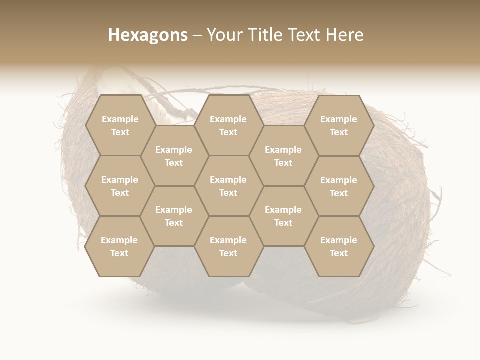 Coconut Palm Nut PowerPoint Template