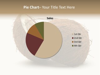 Coconut Palm Nut PowerPoint Template