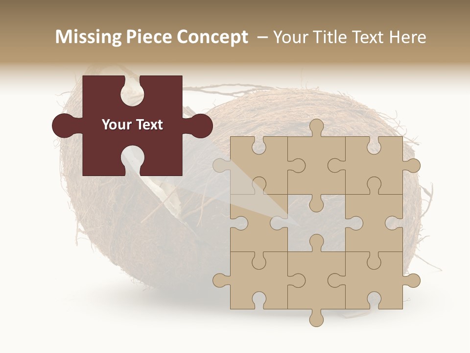 Coconut Palm Nut PowerPoint Template