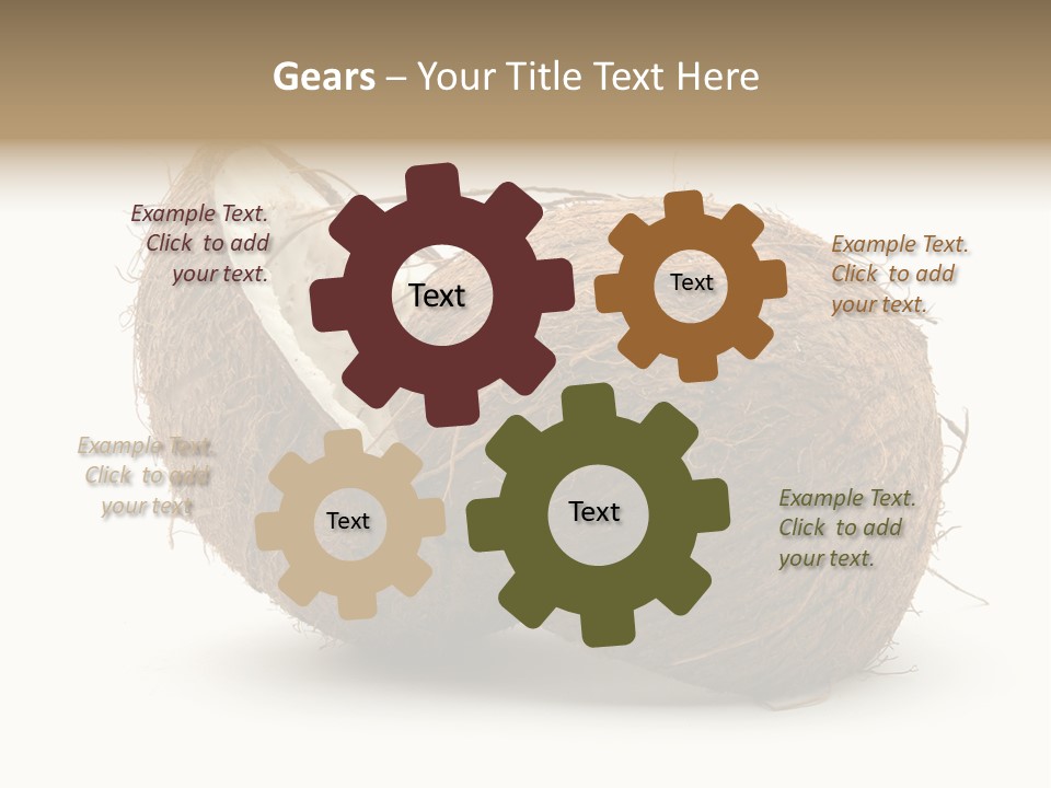 Coconut Palm Nut PowerPoint Template