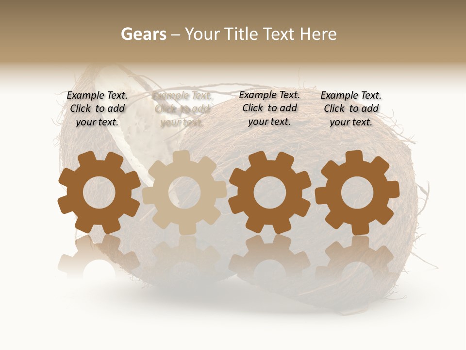 Coconut Palm Nut PowerPoint Template