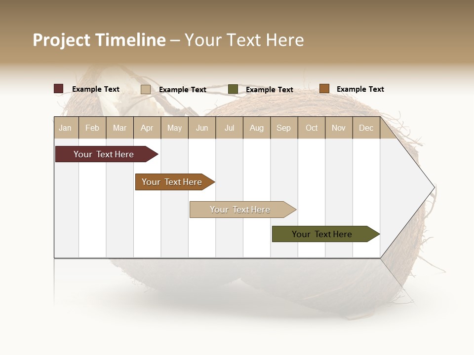 Coconut Palm Nut PowerPoint Template
