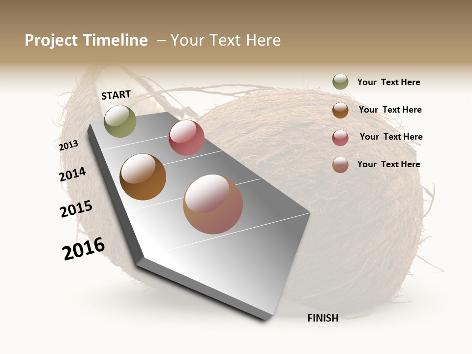 Coconut Palm Nut PowerPoint Template