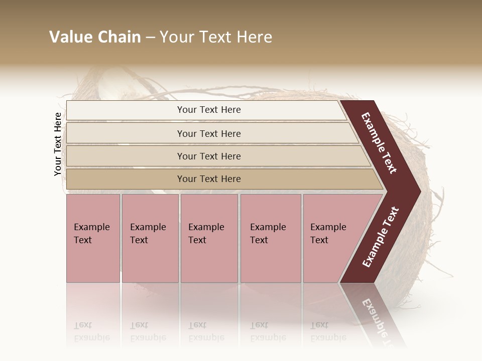 Coconut Palm Nut PowerPoint Template