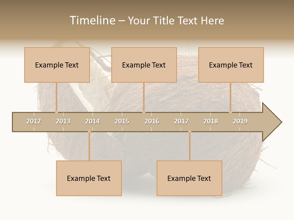 Coconut Palm Nut PowerPoint Template