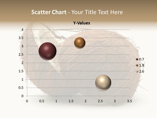 Coconut Palm Nut PowerPoint Template