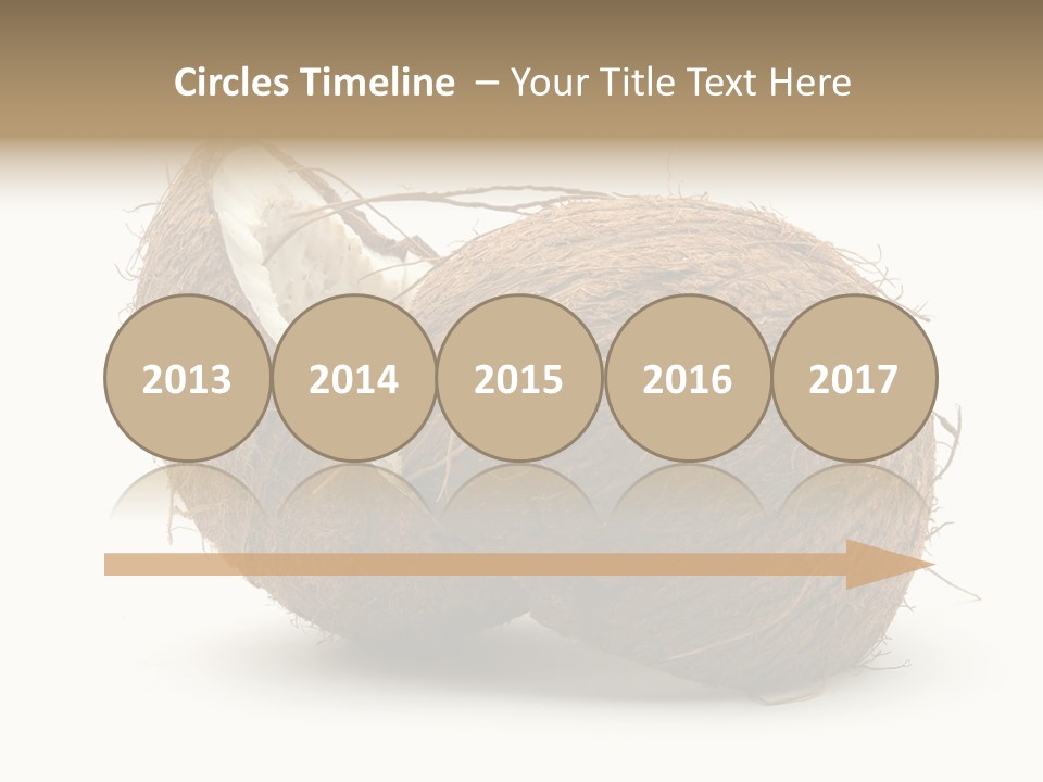 Coconut Palm Nut PowerPoint Template