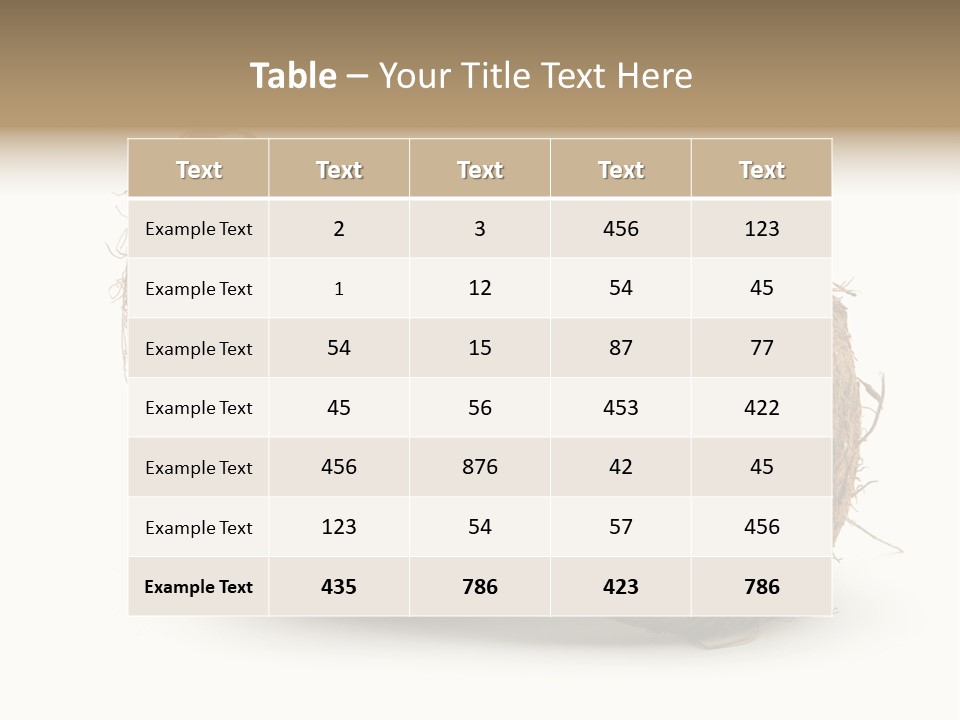 Coconut Palm Nut PowerPoint Template