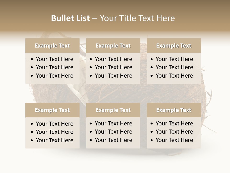 Coconut Palm Nut PowerPoint Template