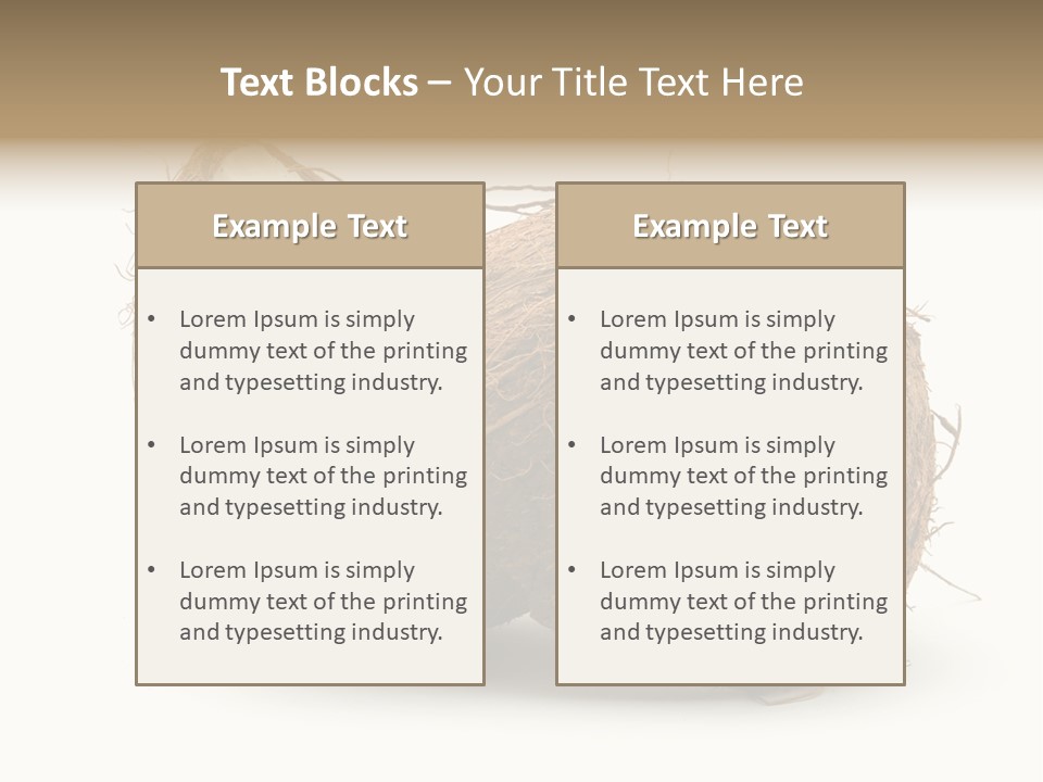Coconut Palm Nut PowerPoint Template