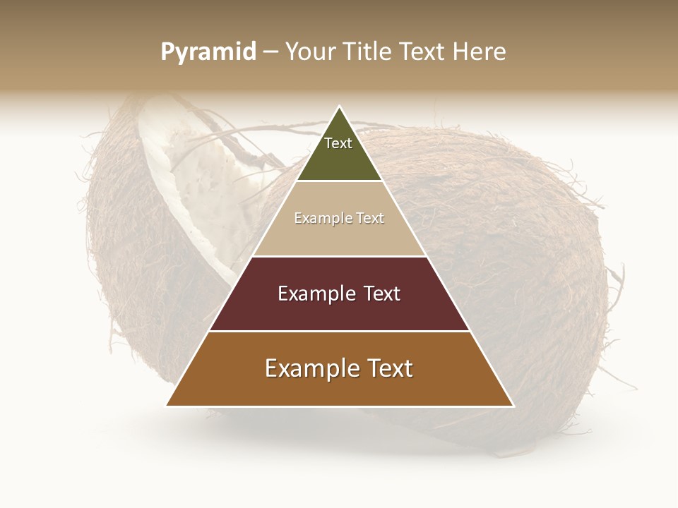Coconut Palm Nut PowerPoint Template