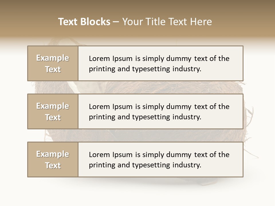 Coconut Palm Nut PowerPoint Template