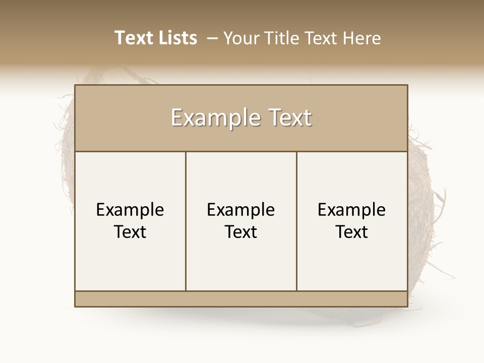 Coconut Palm Nut PowerPoint Template