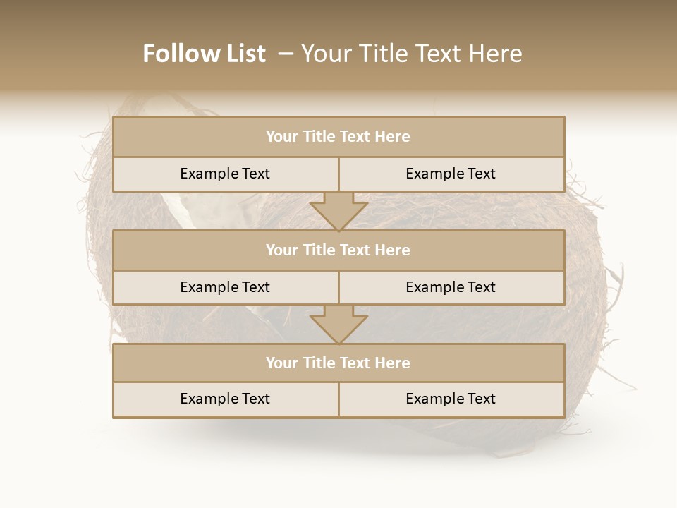 Coconut Palm Nut PowerPoint Template