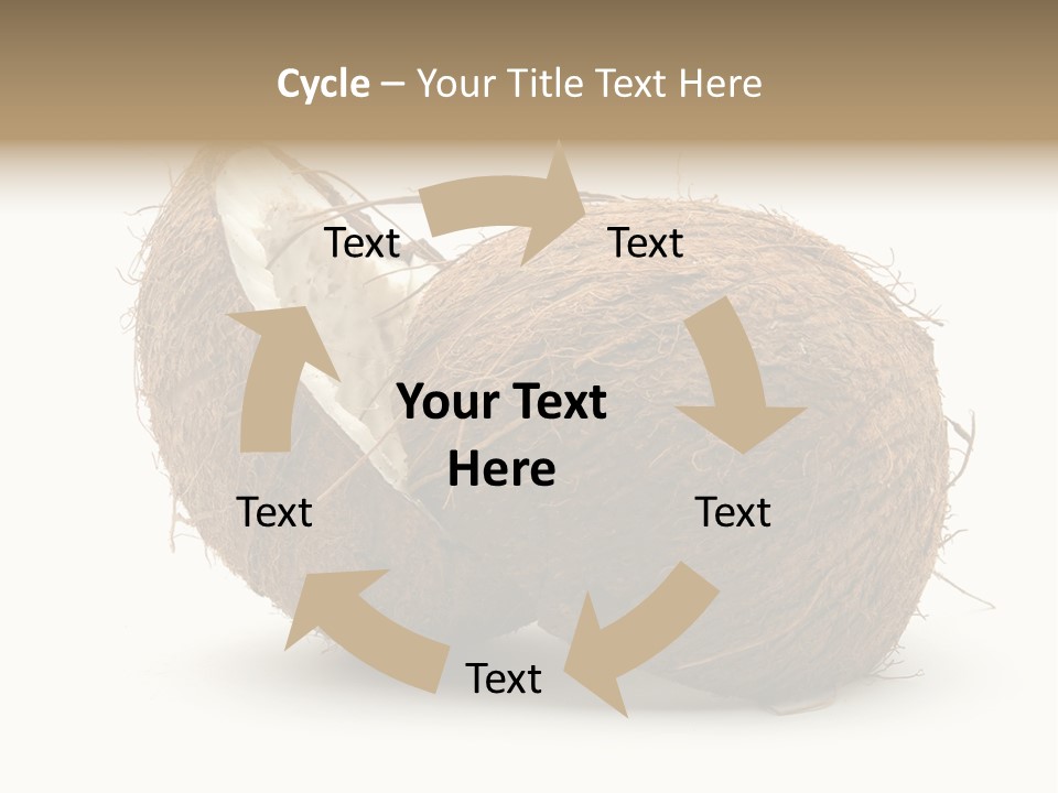 Coconut Palm Nut PowerPoint Template