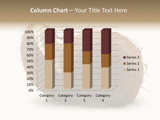 Coconut Palm Nut PowerPoint Template