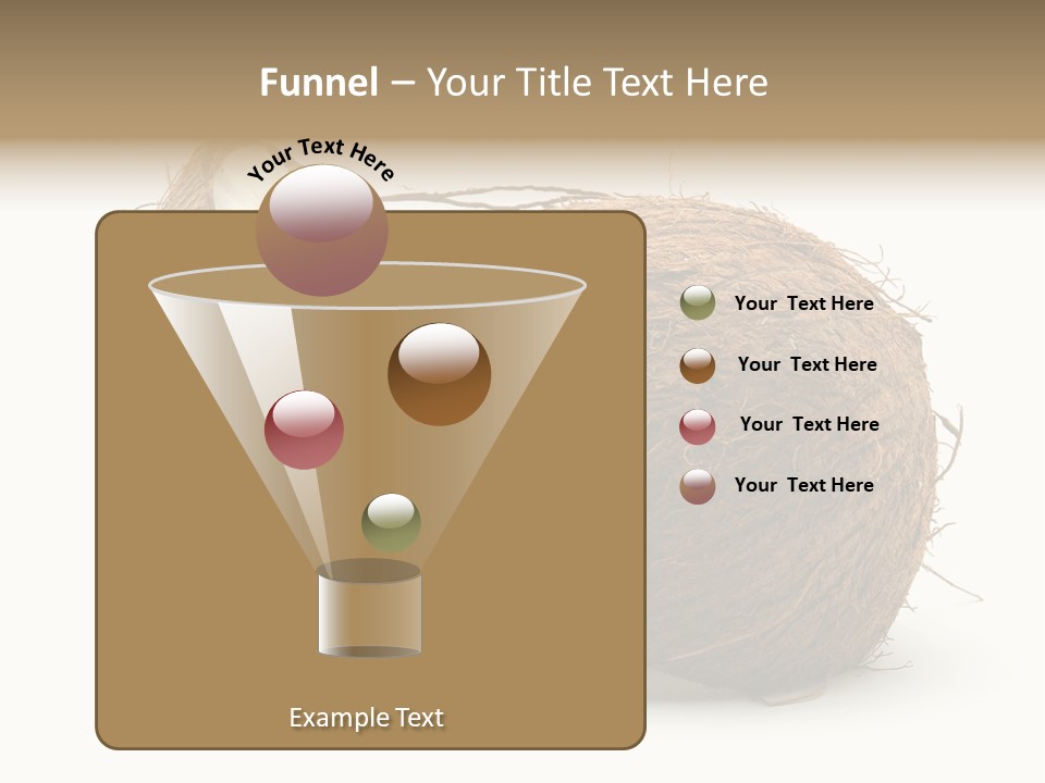 Coconut Palm Nut PowerPoint Template