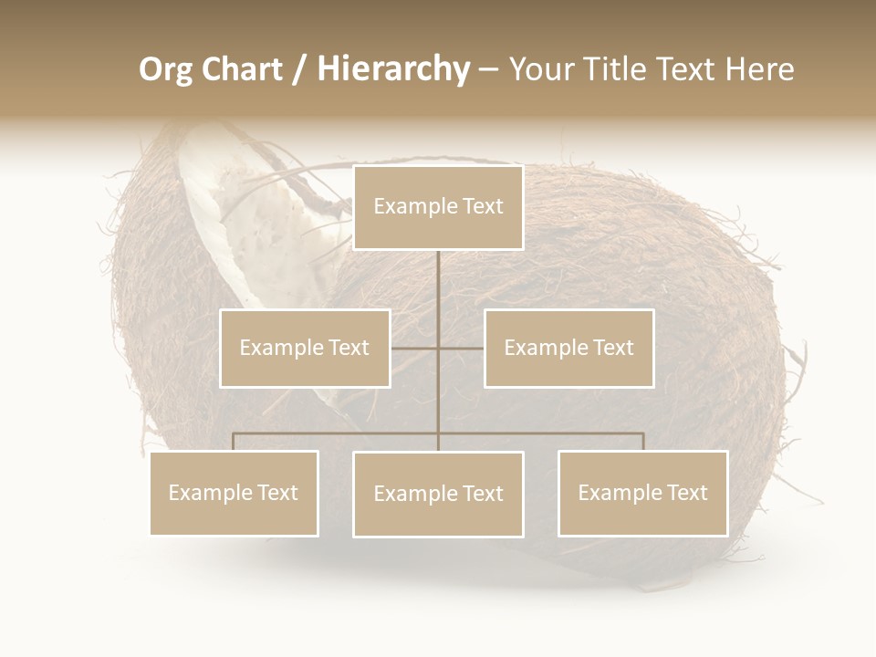 Coconut Palm Nut PowerPoint Template