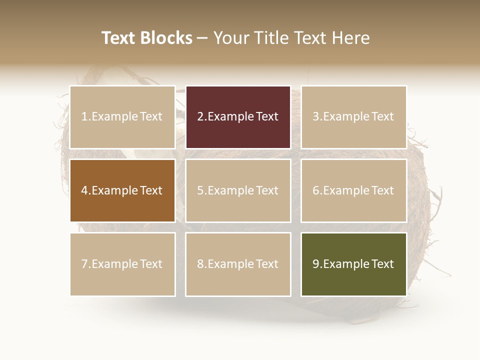 Coconut Palm Nut PowerPoint Template