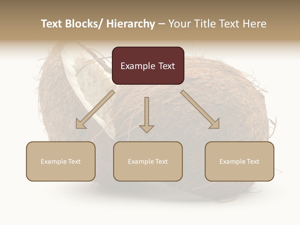 Coconut Palm Nut PowerPoint Template