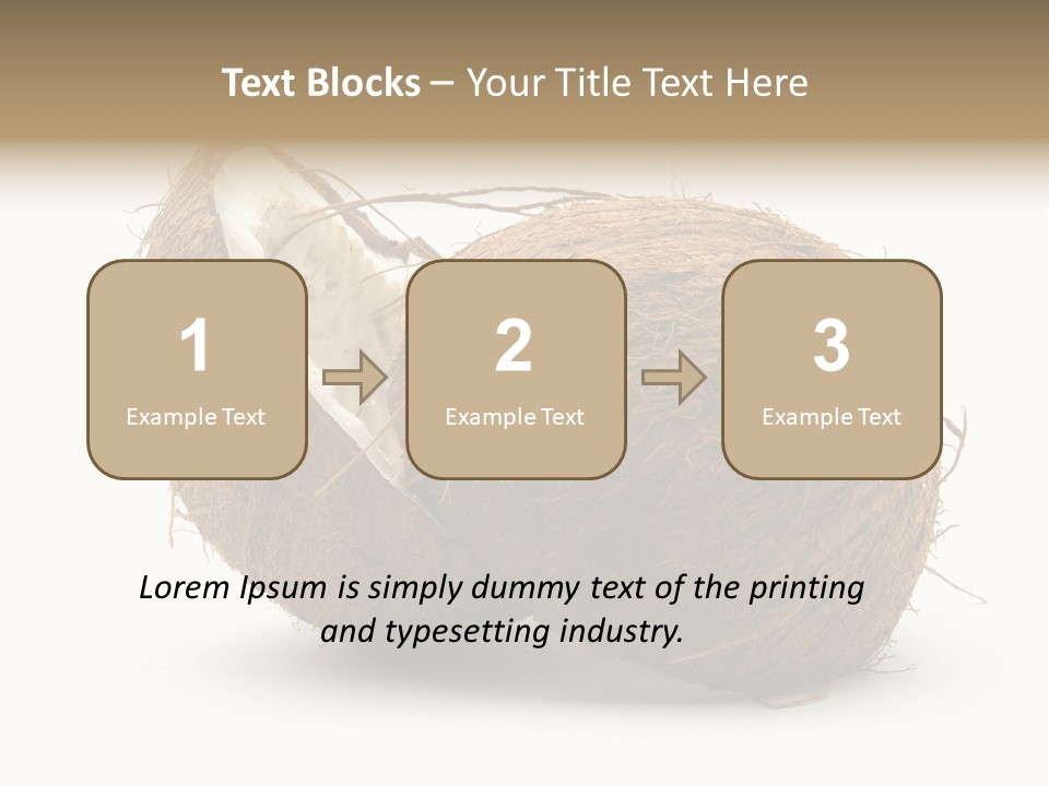 Coconut Palm Nut PowerPoint Template